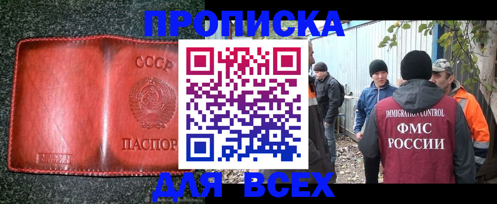 временная регистрация поиск в Камчатской области